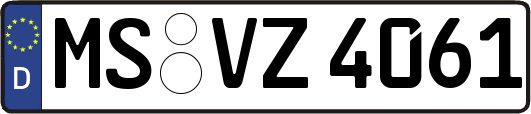 MS-VZ4061