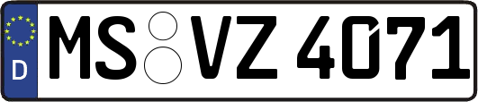 MS-VZ4071