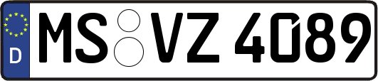 MS-VZ4089