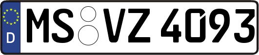 MS-VZ4093