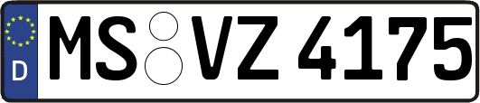 MS-VZ4175