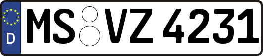 MS-VZ4231
