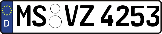 MS-VZ4253