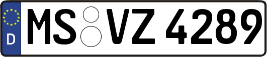 MS-VZ4289