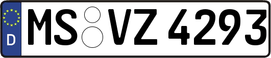 MS-VZ4293