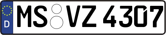 MS-VZ4307