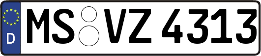 MS-VZ4313