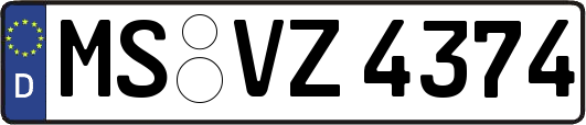 MS-VZ4374