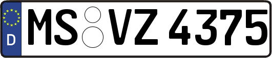 MS-VZ4375