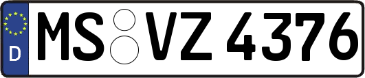 MS-VZ4376