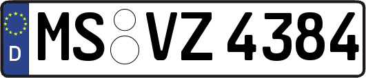 MS-VZ4384