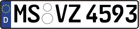 MS-VZ4593
