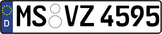 MS-VZ4595