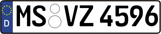 MS-VZ4596