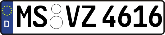 MS-VZ4616