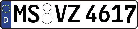 MS-VZ4617