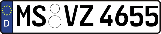 MS-VZ4655