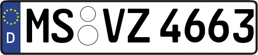 MS-VZ4663