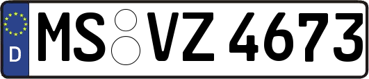 MS-VZ4673