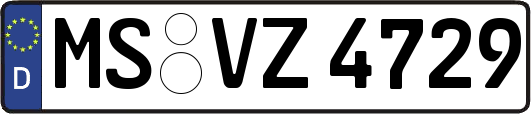 MS-VZ4729