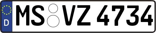 MS-VZ4734