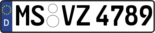 MS-VZ4789
