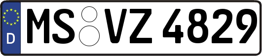 MS-VZ4829