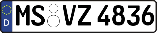 MS-VZ4836
