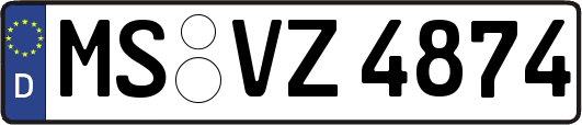MS-VZ4874