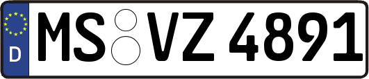 MS-VZ4891