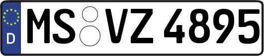 MS-VZ4895