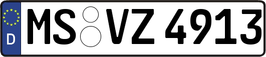MS-VZ4913