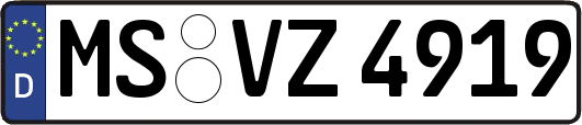 MS-VZ4919