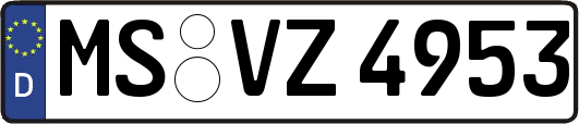 MS-VZ4953