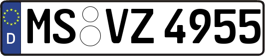 MS-VZ4955