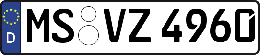 MS-VZ4960