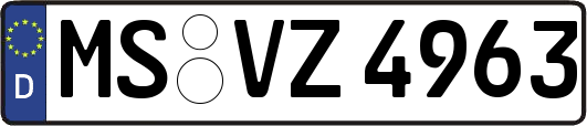 MS-VZ4963