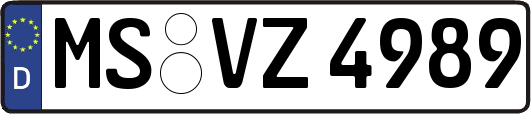 MS-VZ4989