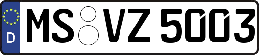 MS-VZ5003