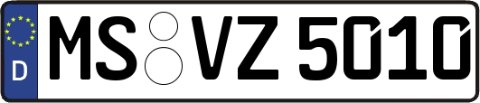 MS-VZ5010