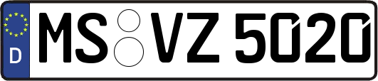 MS-VZ5020
