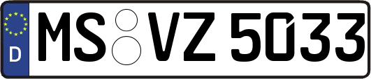 MS-VZ5033