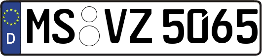 MS-VZ5065