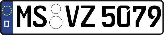 MS-VZ5079