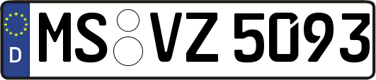 MS-VZ5093