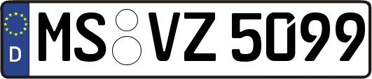 MS-VZ5099