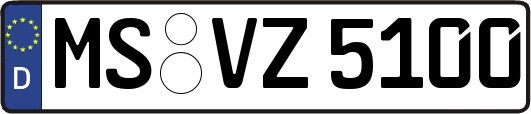 MS-VZ5100