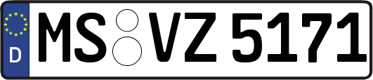 MS-VZ5171
