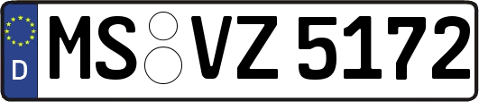 MS-VZ5172