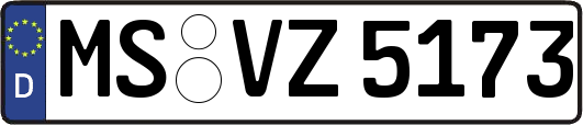 MS-VZ5173